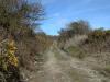 Old Boulteen road_thumb.jpg 2.3K